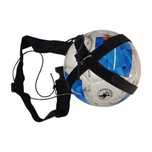 کیک استار پرو